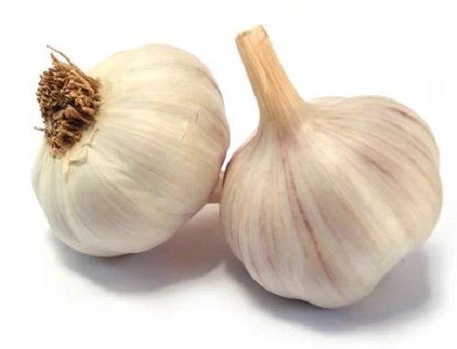 10% Moisture Raw Fresh Garlic For Cooking Use Moisture (%): 10