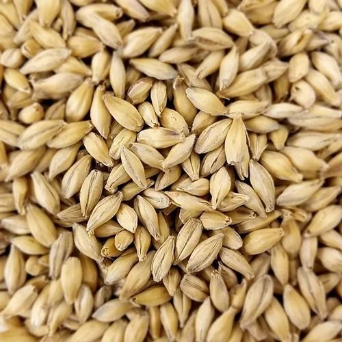 14% Moisture 2% Ash 99% Pure Indian Origin Food Grade Natural Durum Wheat