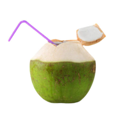 Alcohol Free Sweet Taste Healthy Tender Coconut Water With 1 Week Shelf Life  Alcohol Content (%): 0%