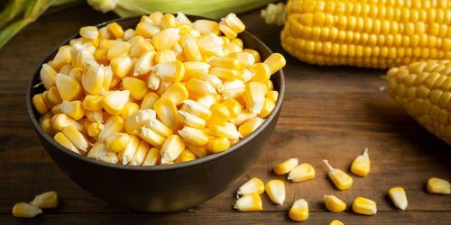 100% Maturity Organic Yellow Sweet Corn For Cooking Use