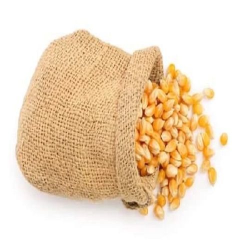 High Quality Yellow Corn Maize Grains