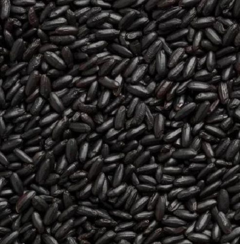 Black Premium Quality 99% Pure And 8% Moisture Organic Dried Rice 