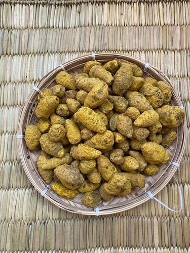 60-90cm Yellow Turmeric Gadda For Cooking And Medicinal Use