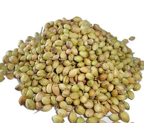 99% Pure And 7% Moisture Dried Organic Coriander Seed With 1 Year Shelf Life