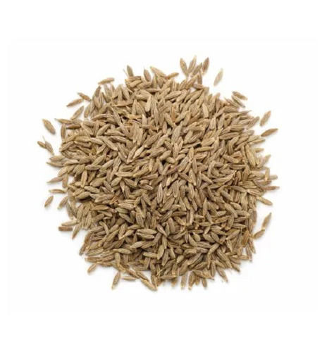 Food-Graded Raw Solid Form Dried Organic Natural Cumin Seeds