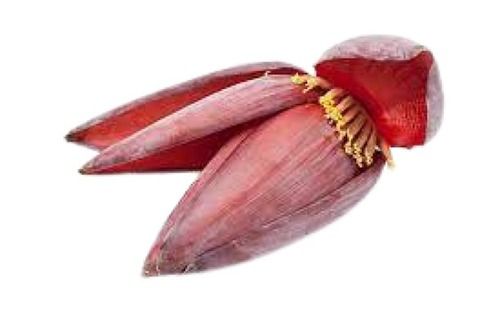 Red Sweet Smell Fresh Naturally Grown Medium Banana Flower