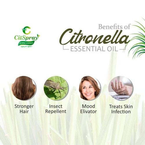 99% Pure Citronella Oil