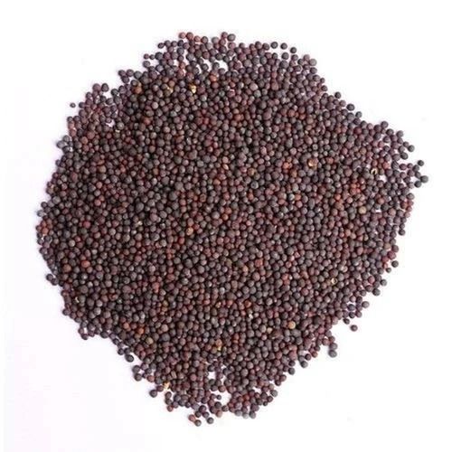 Common Cultivation A Grade Pure And Natural Raw Dried Mustard Seed