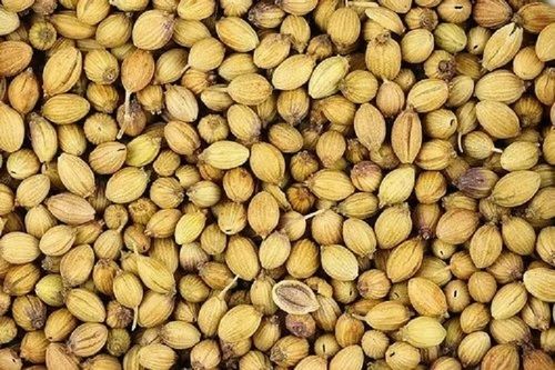 Less Moisture Sun Dried A-Graded Spices Organic Coriander Seeds