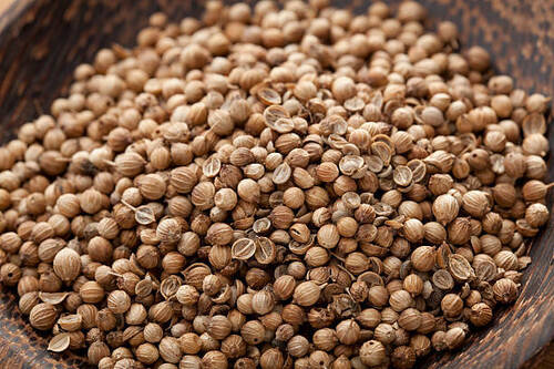 0.2% Moisture Dried Fresh Coriander Seeds For Cooking