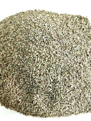 Brown 9.5 % Ash High Purity Natural Cultivated Dried A Grade Organic Ajwain Seeds