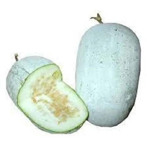 Fresh Ash Gourds, Size 4-6 Kg