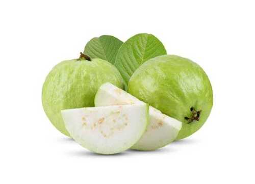 Natural Green Fresh Organic Guava Good For Health