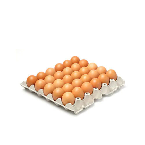 White Paper Pulp Egg Tray, Capacity For 30 Eggs