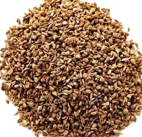 20% Moisture 98 Percent Pure Edible Raw Organic Ajwain Seeds