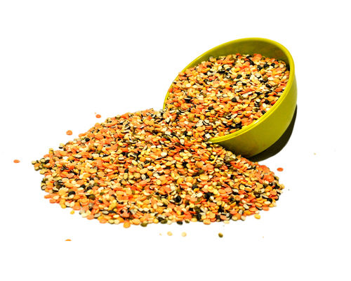 90-100 Percent Maturity Dried Organic Mix Dal For Cooking Usage