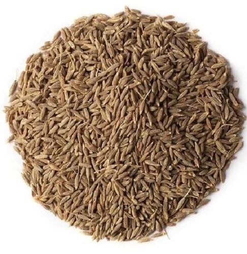 Premium Quality Raw Dried Earthy Nutty Taste Organic Cumin Seeds