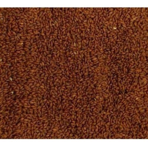 Rich In Iron Organic 8 Percent Moisture Indian Asaliya Seeds