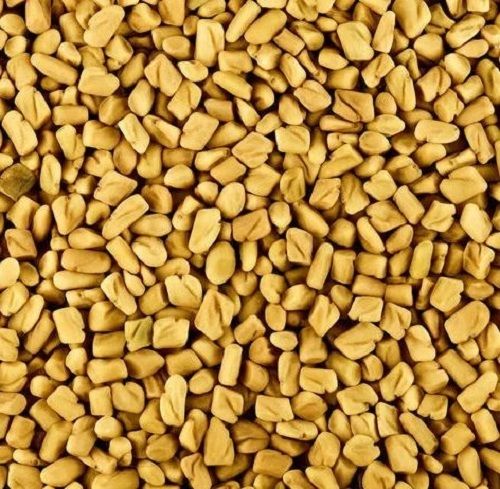 Sun Dry Processed 10 Percent Moisture Organic Fenugreek Seeds Ash %: 2%