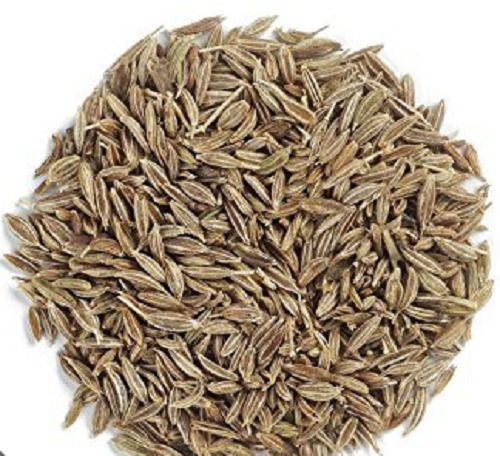 100% Natural Dried Raw Rich Flavor Taste Cumin Seeds