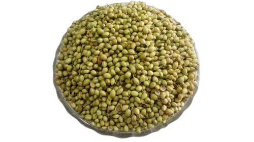 Coriander - Sabut Dhania