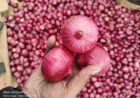 100% Fresh And Natural Red Onion With 1 Months Of Shelf Life