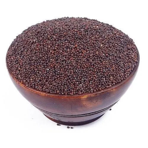 99.9% Pure Commonly Cultivated Black Mustered Oil Seed 