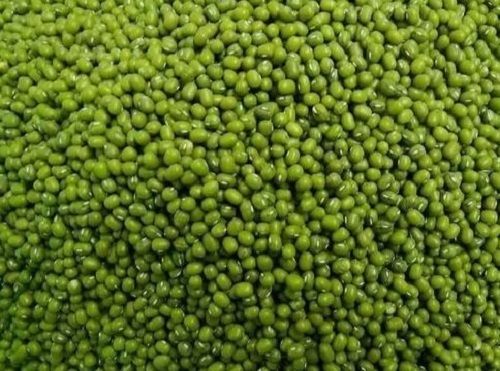 12 % Moisture Content Whole Dried Green Mung Beans