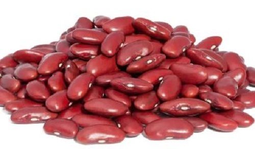  15% नमी की मात्रा आमतौर पर उगाई जाने वाली लाल बीन्स