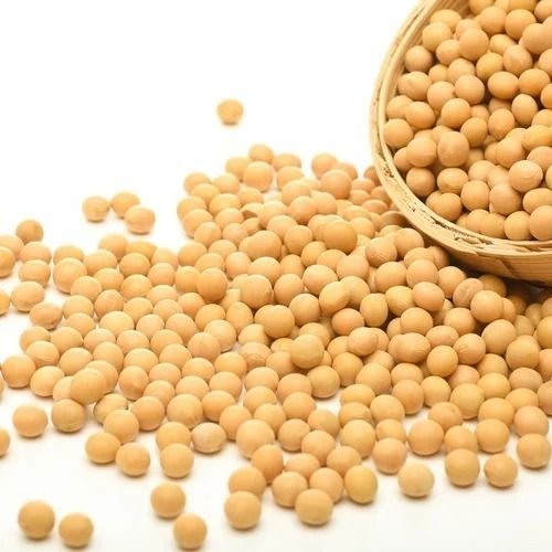 Commonly Cultivated Sunlight Dried Whole Organic Soybean
