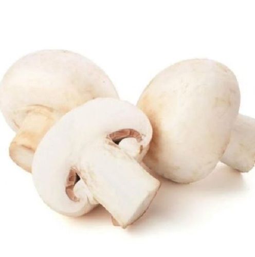 Dried Seasonally Cultivated Fresh Button Mushroom For Cooking