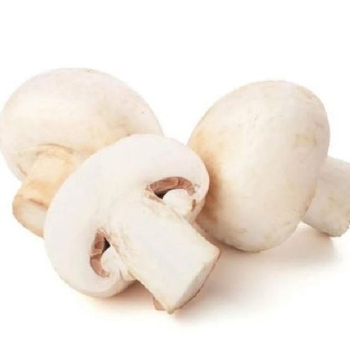 White Dried Seasonally Cultivated Fresh Button Mushroom For Cooking