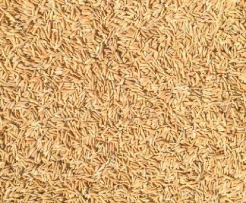 Rice Husk - Application: Fodders