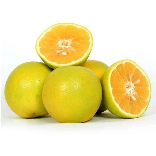 100 Percent Maturity Commonly Cultivated Glutinous Sweet Sour Round Lemon 