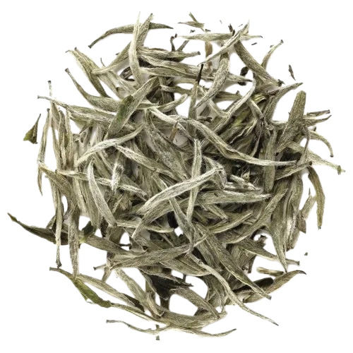 Rich In Antioxidants Pure And Dried Raw 1.8% Brix Relaxing White Tea Vanilla