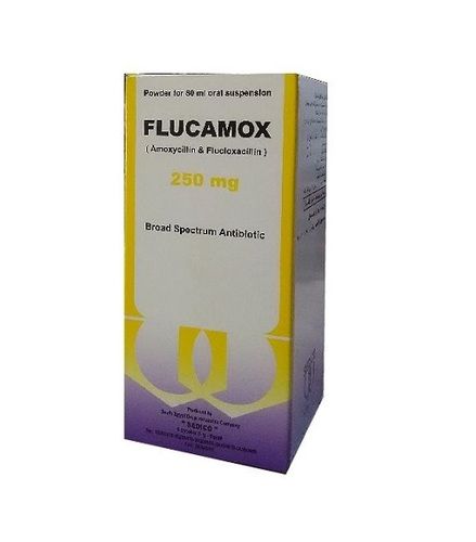 Flucloxacillin Oral Solution