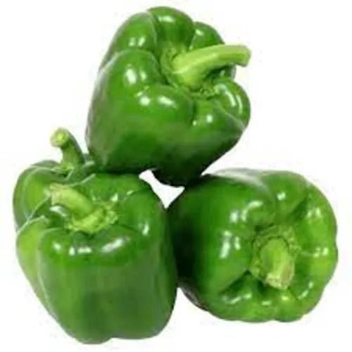 Natural And Blocky Fresh Capsicum For Cooking Use