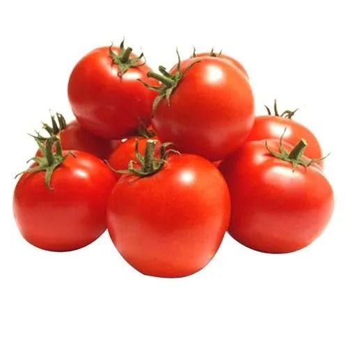 Organic And Spherical Hybrid Fresh Tomatoes For Cooking Use