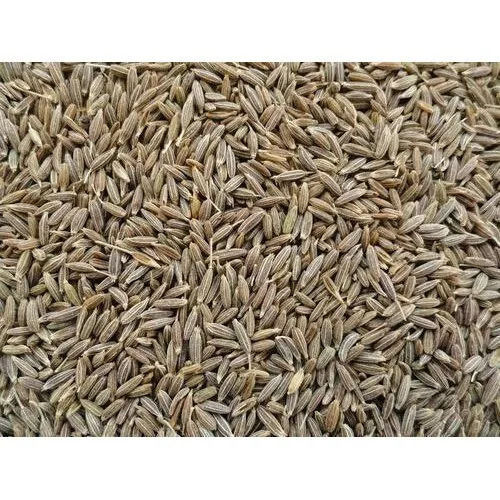 A Grade Granules Form Raw Processing Rich Taste Dried Cumin Seed