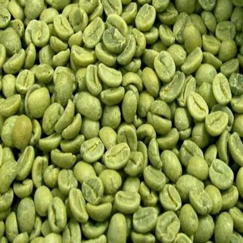 Fermented Processing Natural Organic Green Coffee Beans