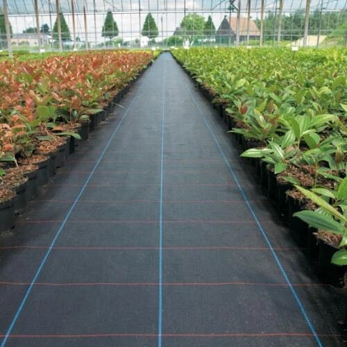 Agriculture Black Plastic And Gi Weed Control Mat Roll