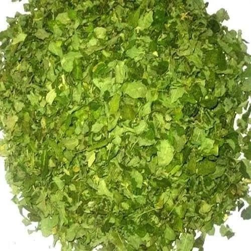 Pure And Natural Herbal Extract Moringa Dried Leaves For Medicine