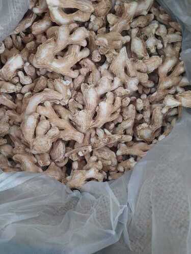 Creamy Yellow Good Quality Dry Ginger