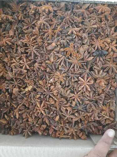 Reddish Brown Good Quality Star Anise (Chakra Phul)