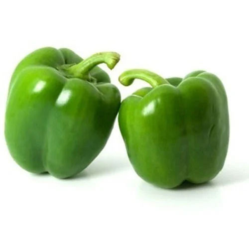 Capsicum