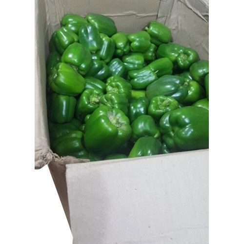 Green Capsicum