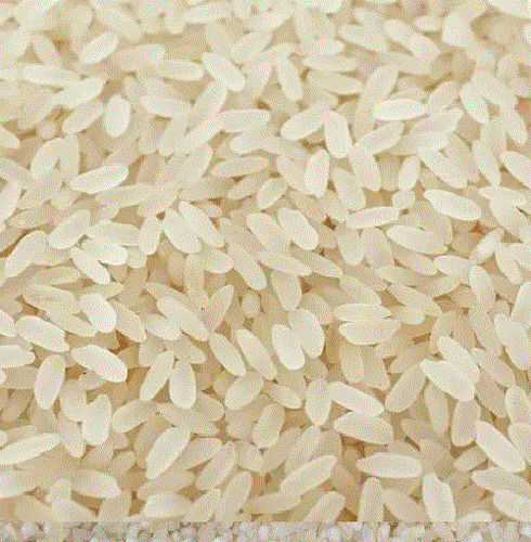 98% Pure Organic Dried Solid Raw Short Grain Rice