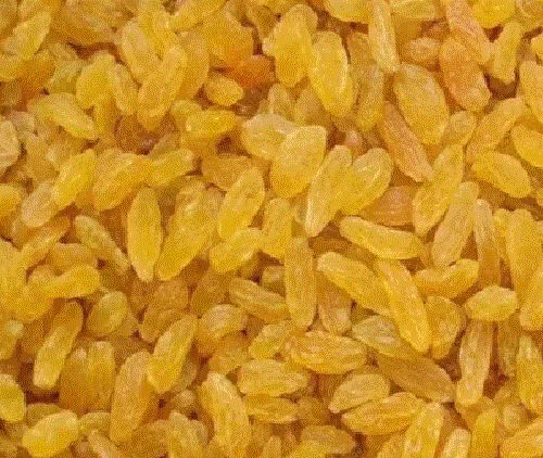 Dried Raw Sweet Taste Golden Raisins