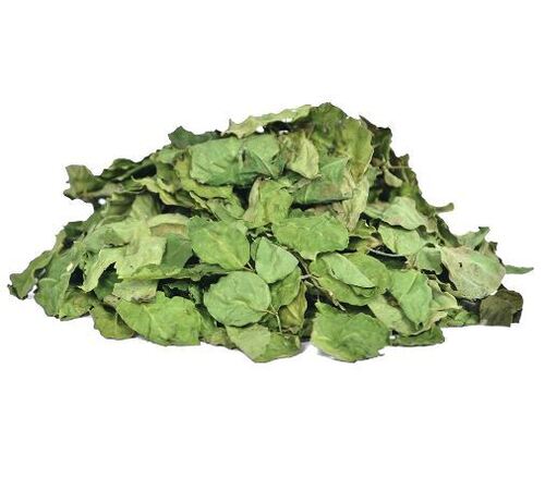 प्राकृतिक और स्वस्थ मोरिंगा सूखे पत्ते सामग्री: जड़ी बूटी