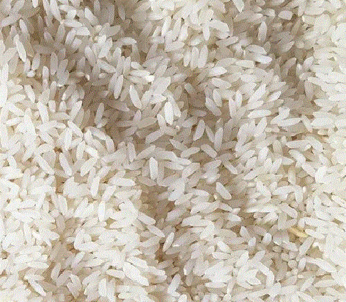 1% Broken Organic Dried Raw Medium Grain Non Basmati Rice